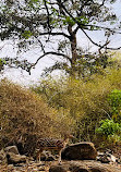 Sanjay Gandhi National Park