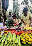 Sanjay Gandhi National Park