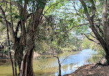 Sanjay Gandhi National Park