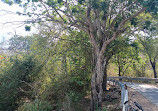 Sanjay Gandhi National Park