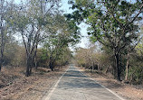 Sanjay Gandhi National Park