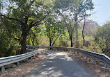 Sanjay Gandhi National Park