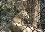 Sanjay Gandhi National Park