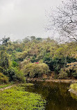 Sanjay Gandhi National Park