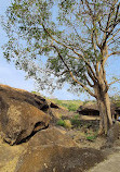 Kanheri Cave 2