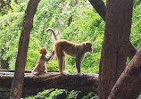 Kanheri Cave 2