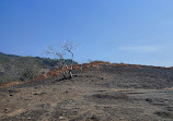 Kanheri Caves