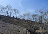 Kanheri Caves