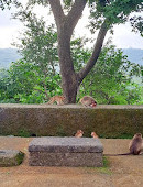 Kanheri Caves