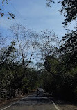 Kanheri Caves