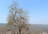 Kanheri Caves