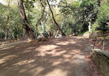 Firebreak Trail to Griffith Observatory