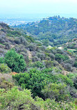 Firebreak Trail to Griffith Observatory