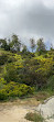 Firebreak Trail to Griffith Observatory