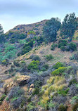 Firebreak Trail to Griffith Observatory