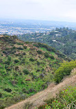 Firebreak Trail to Griffith Observatory