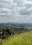 Firebreak Trail to Griffith Observatory