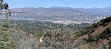 Glendale Peak Trail Head