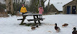 Wycoller Lake and Picnic site