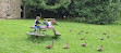 Wycoller Lake and Picnic site