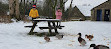 Wycoller Lake and Picnic site