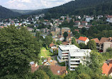 SCHWARZWALD PANORAMA