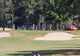 Arcadian Shores Golf Club