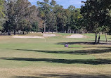 Arcadian Shores Golf Club