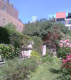 Elizabeth Street Garden