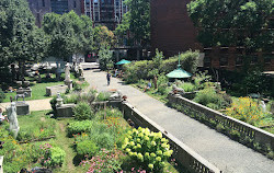 Jardín de la calle Elizabeth