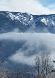 Sequoia Crest