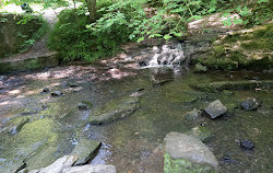 Wepre park waterfalls