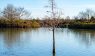 Shelby Farms Park