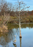 Shelby Farms Park