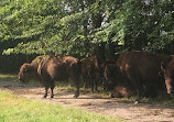 Shelby Farms Park