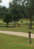 Shelby Farms Park