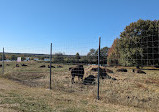 Shelby Farms Park