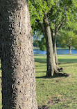 Bethany Lakes Park