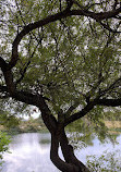 Bethany Lakes Park