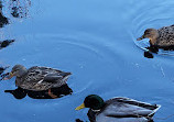 Lewis Lake Nature Park