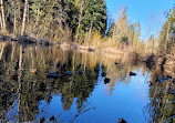 Lewis Lake Nature Park