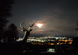 Centennial Viewpoint Park