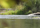 Green River Natural Area