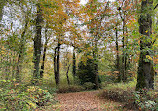 Green River Natural Area