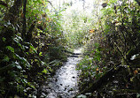 Green River Natural Area