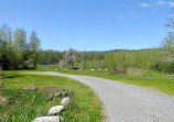 Green River Natural Area