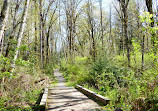 Green River Natural Area