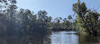 Airboat swamp tours