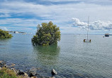 Victoria Point Beach Front Walk