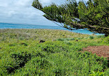 Griffiths Island Reserve